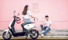 爆料雅迪大事件视频,揭秘行业巨变背后的真相